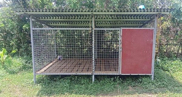 Desain Kandang Kambing Stainless